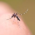 Mogi confirma terceiro óbit0 por dengue