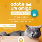 Mogi: Patteo Urupema Shopping realiza novo evento de adoção pet