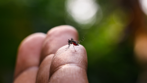 6 m0rt3s e mais de 8,3 mil casos de dengue registrados no Alto Tietê em 2024